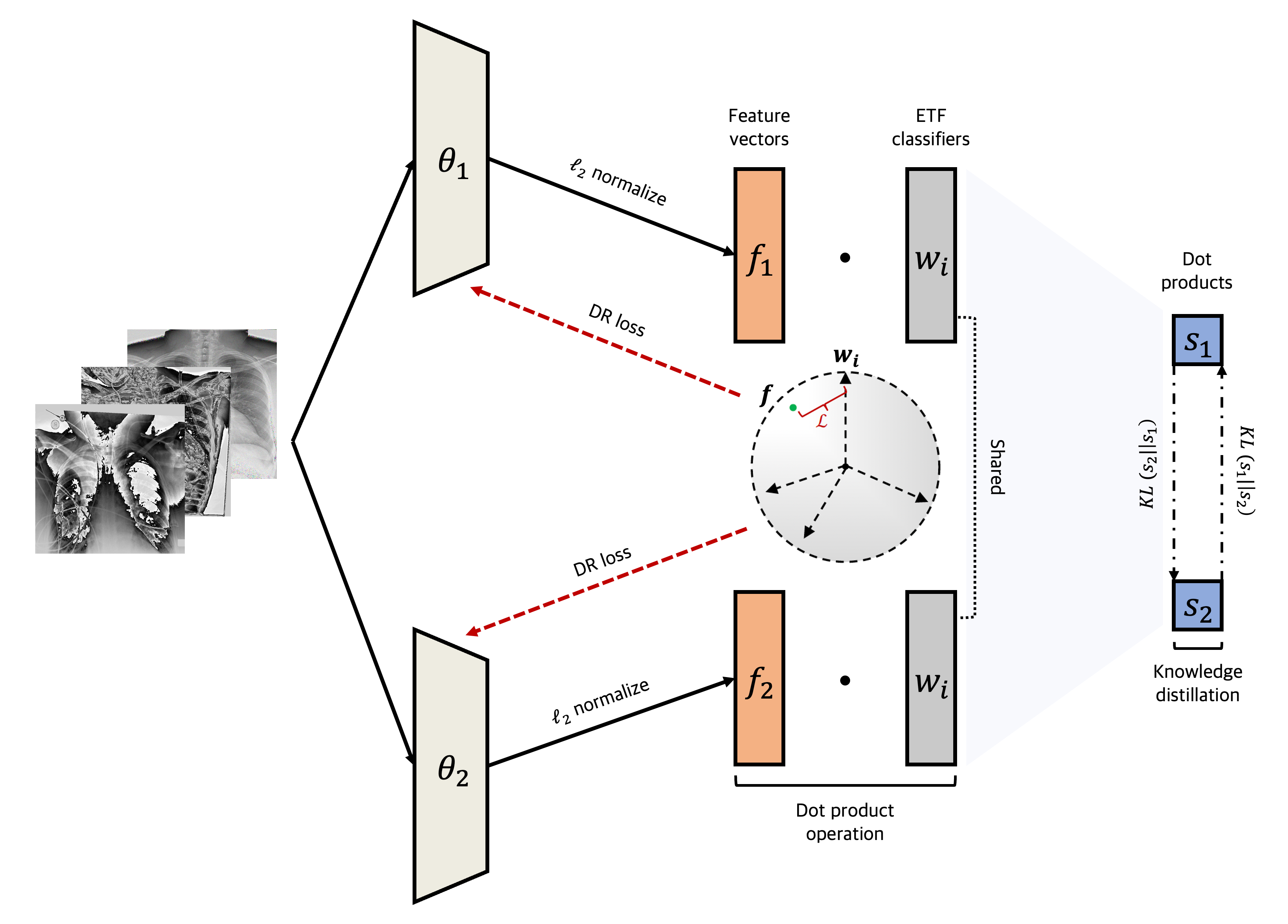 Robust Medical Image Classification Against Data Contamination and Poisoning